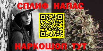 гидра Кизилюрт