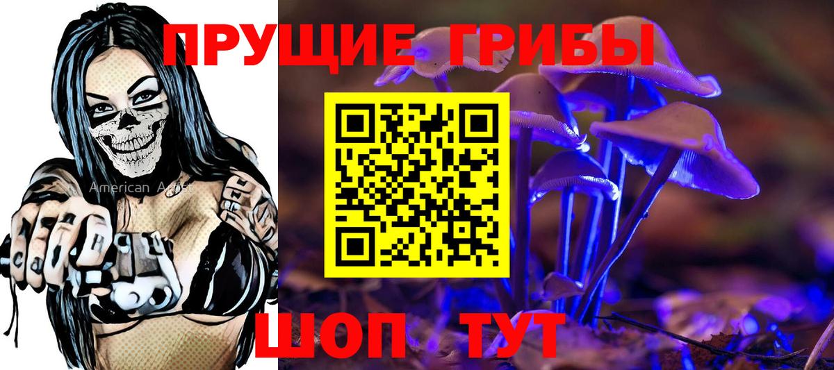 Галлюциногенные грибы GOLDEN TEACHER  где продают наркотики  Черногорск  Вход с VPN  Галлюциногенные грибы GOLDEN TEACHER 